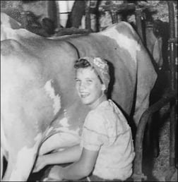 Milking a cow in 1940s Wisconsin