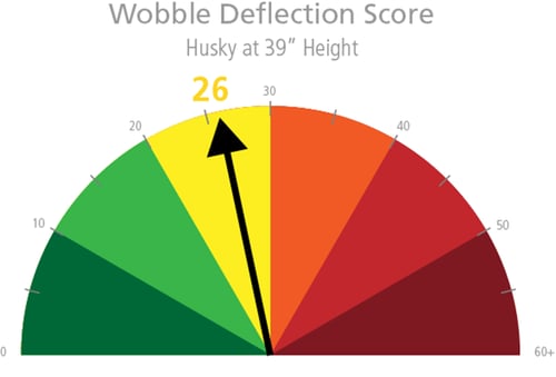 Wobble_39H