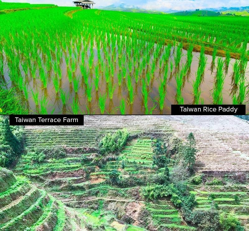 Farming in Taiwan