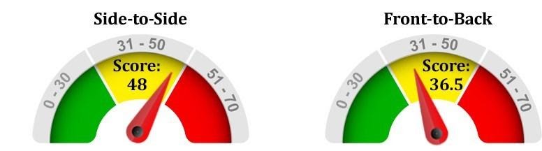 Current version of the HON Coordinate Wobble Scores from a standing position